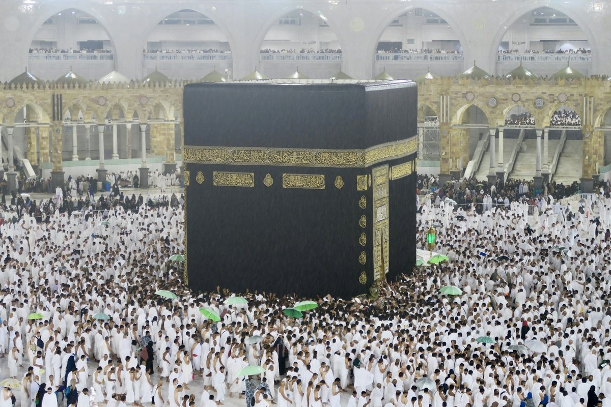 حجز مطوف